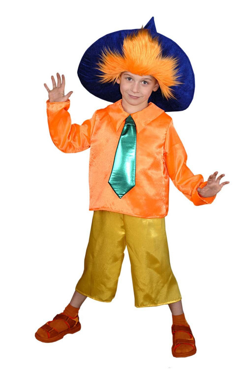 Карнавальный костюм "Незнайка" для мальчика
