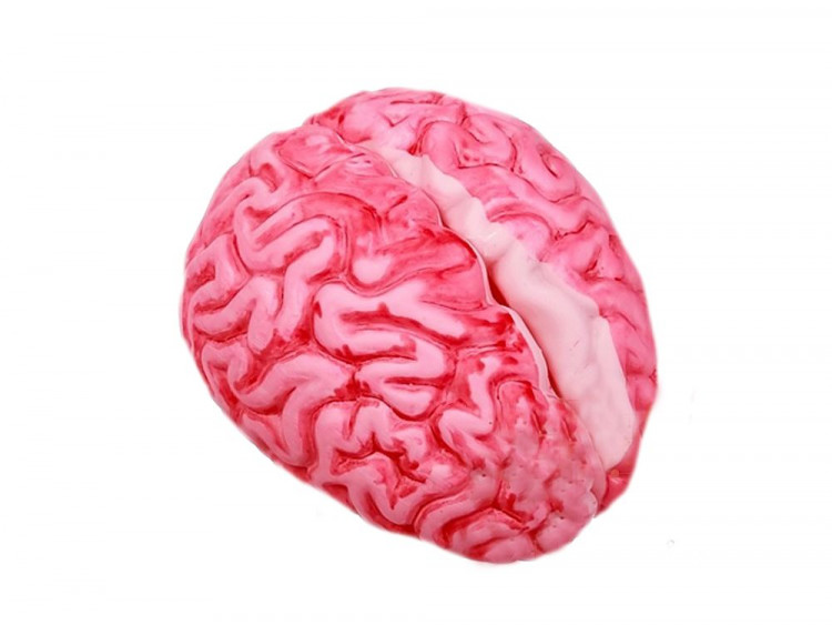 Декорация "Мозг" на Хэллоуин