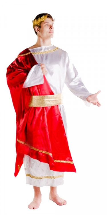 Карнавальный костюм Зевс (туника с плащем ,пояс,гол убор)